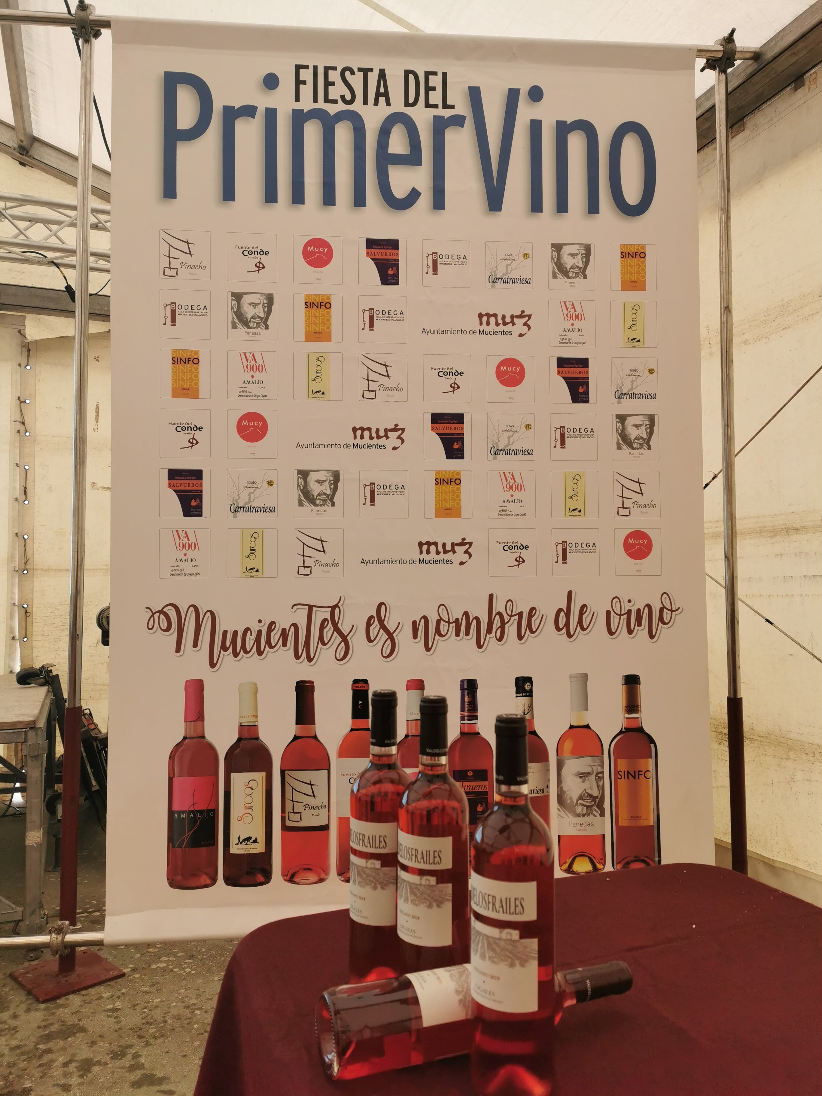 Fotos: Las imágenes de la XII Fiesta del Primer Vino de Mucientes
