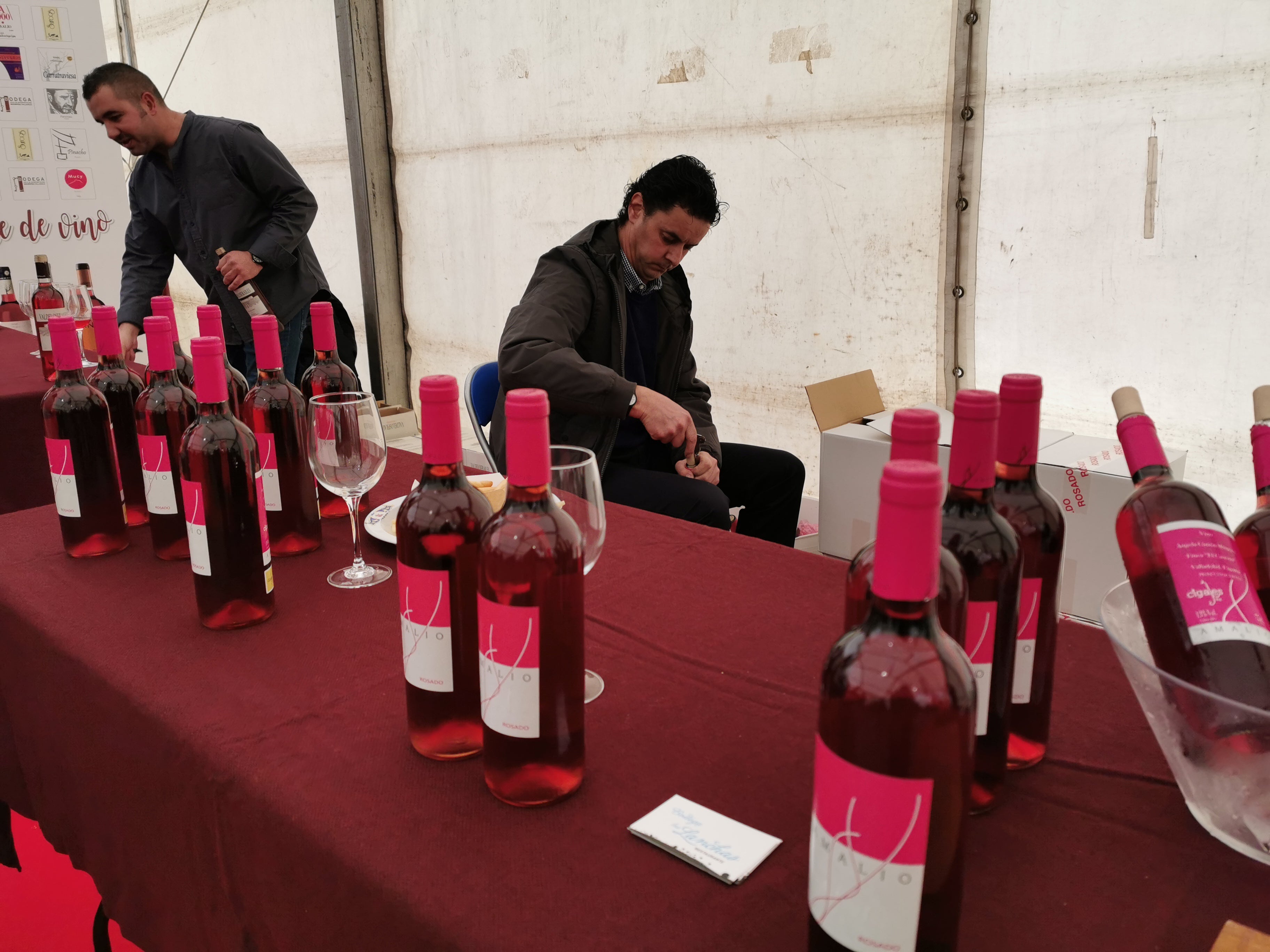 Fotos: Las imágenes de la XII Fiesta del Primer Vino de Mucientes