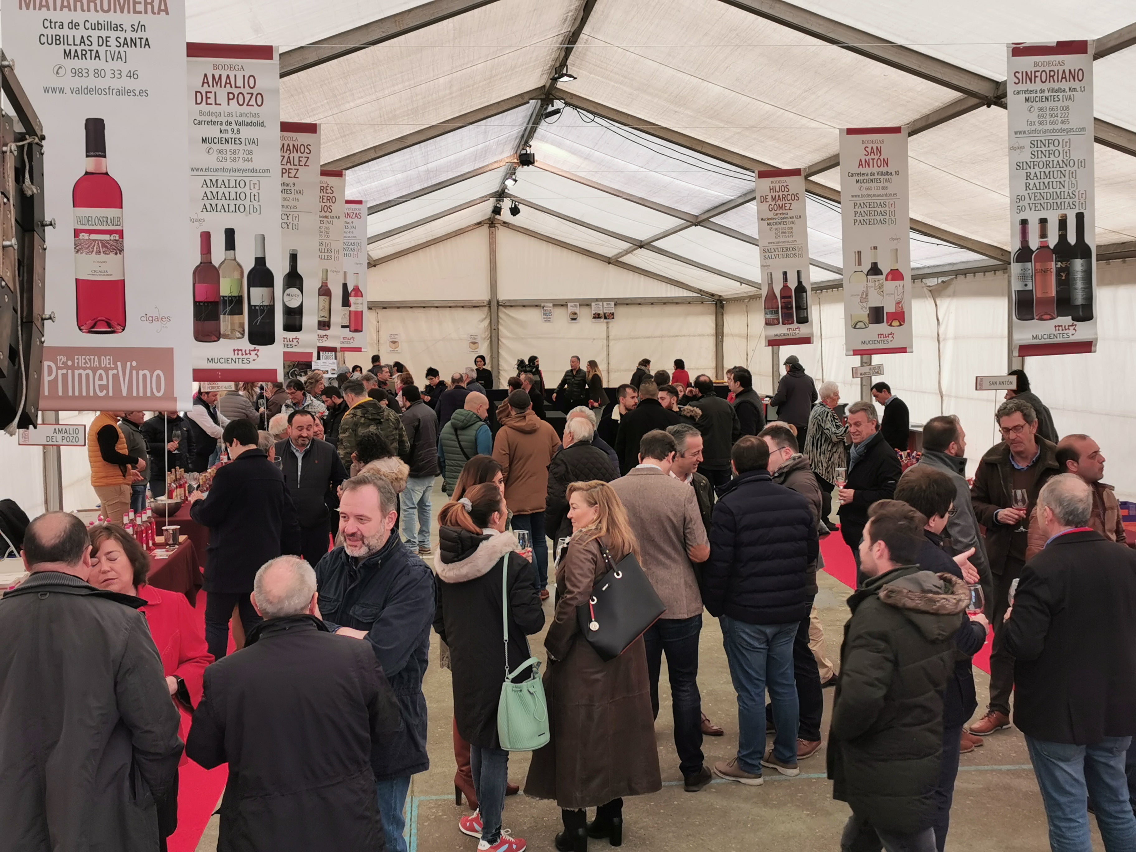 Fotos: Las imágenes de la XII Fiesta del Primer Vino de Mucientes