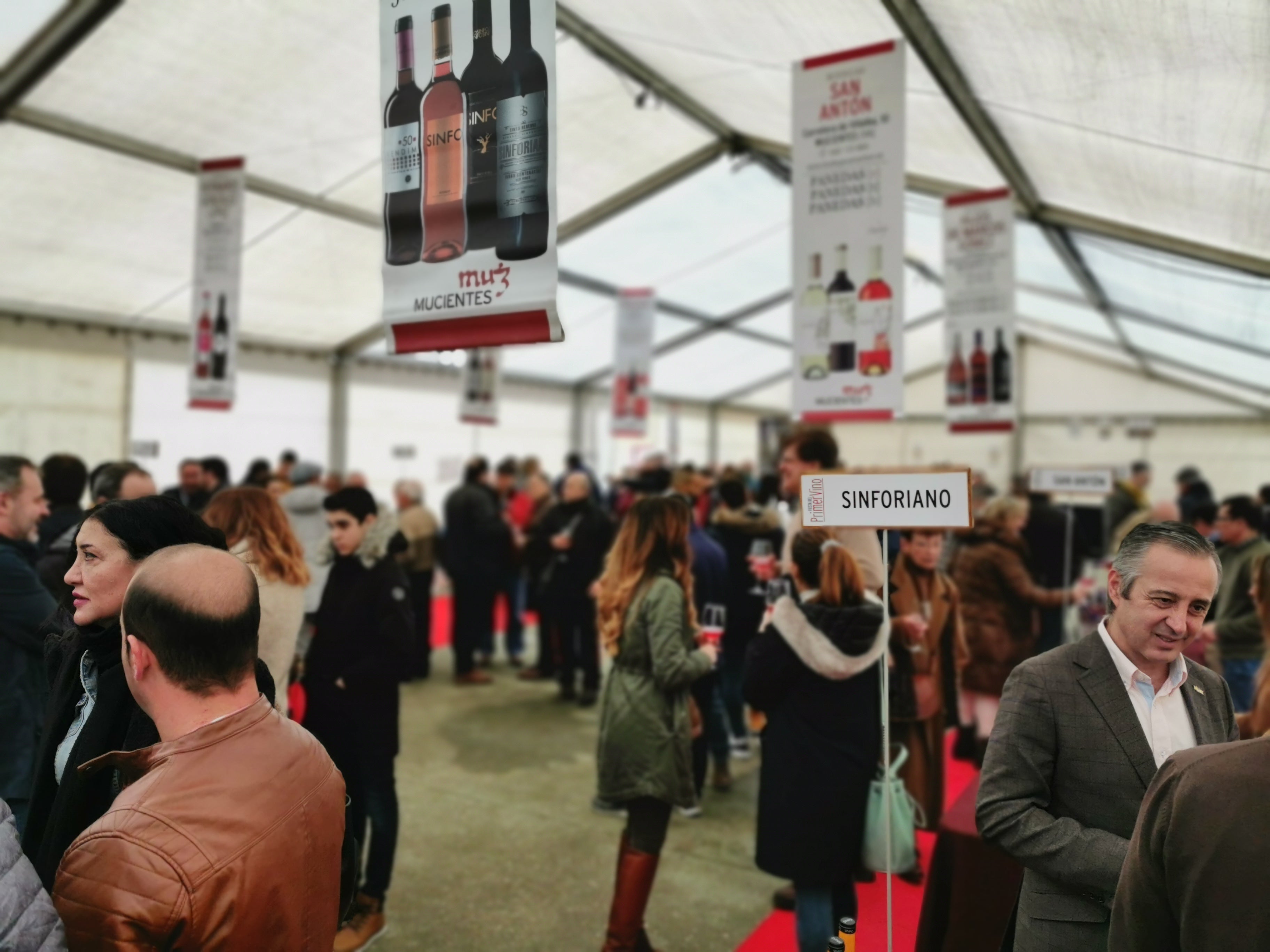 Fotos: Las imágenes de la XII Fiesta del Primer Vino de Mucientes