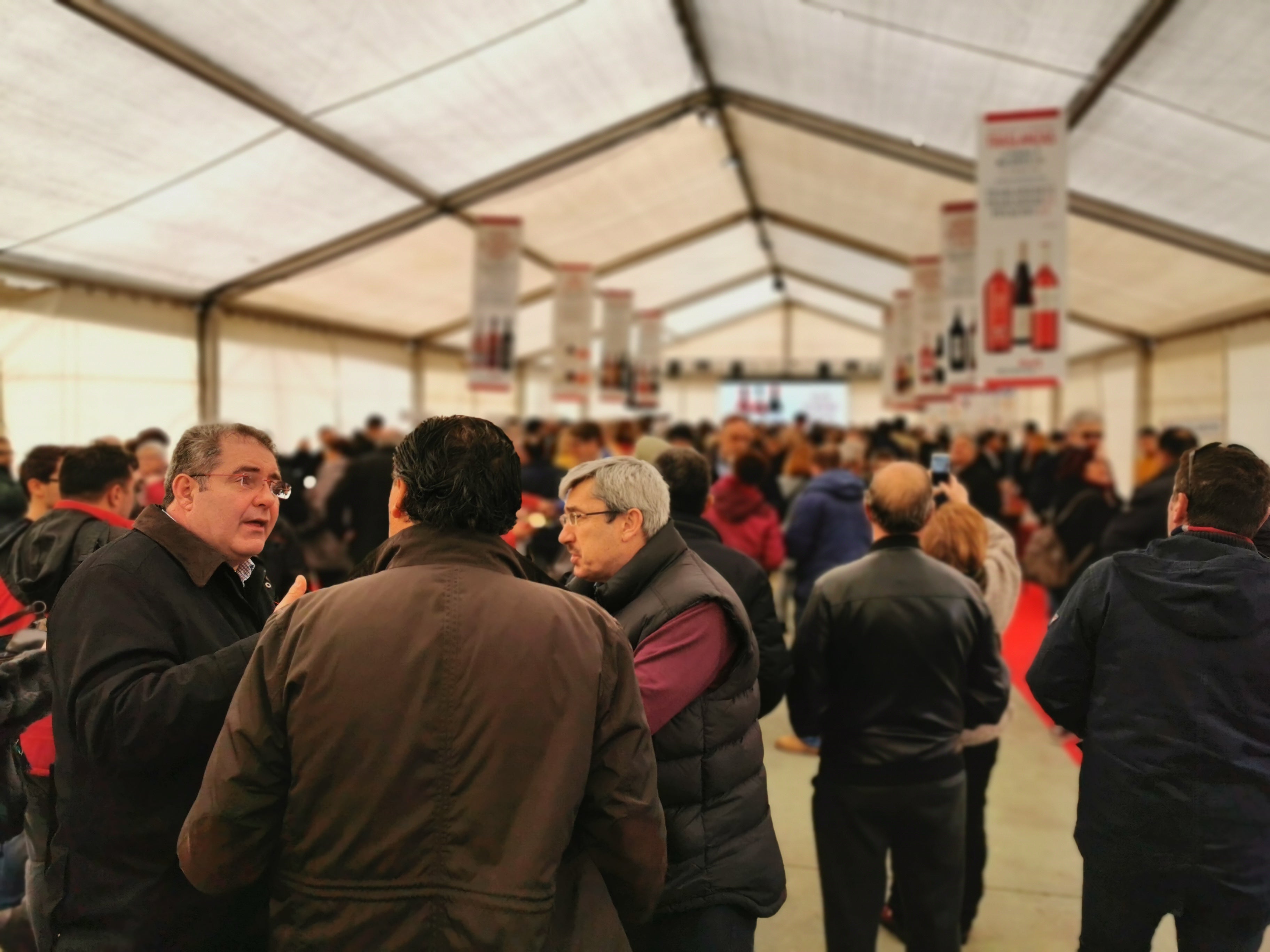 Fotos: Mucientes celebra la Fiesta del Primer Vino