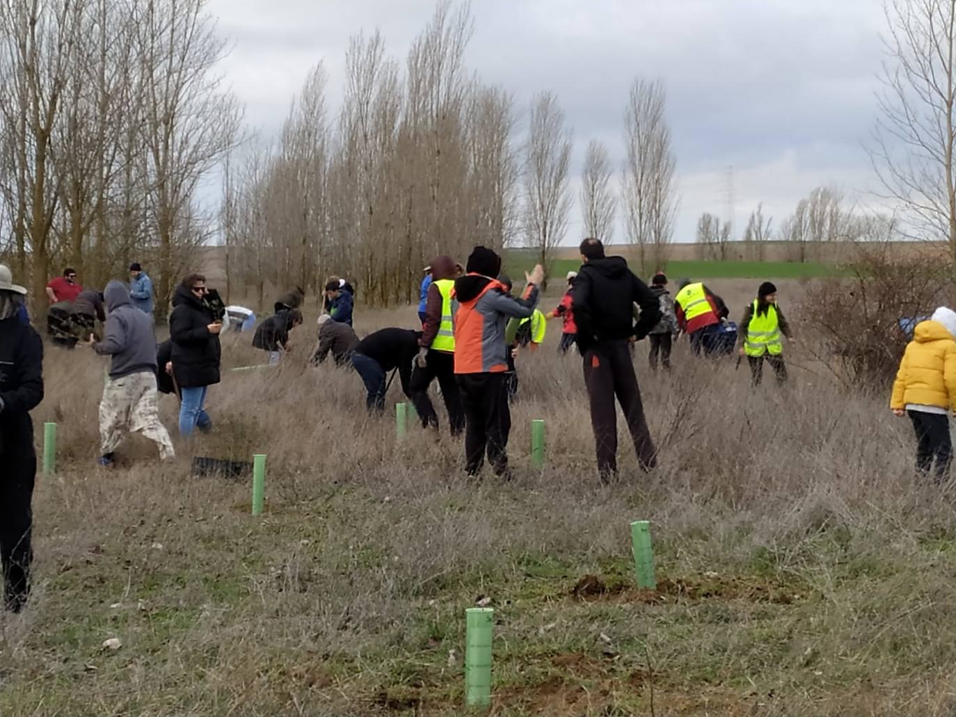 Fotos: La replantación de Villacid y Cuenca de Campos