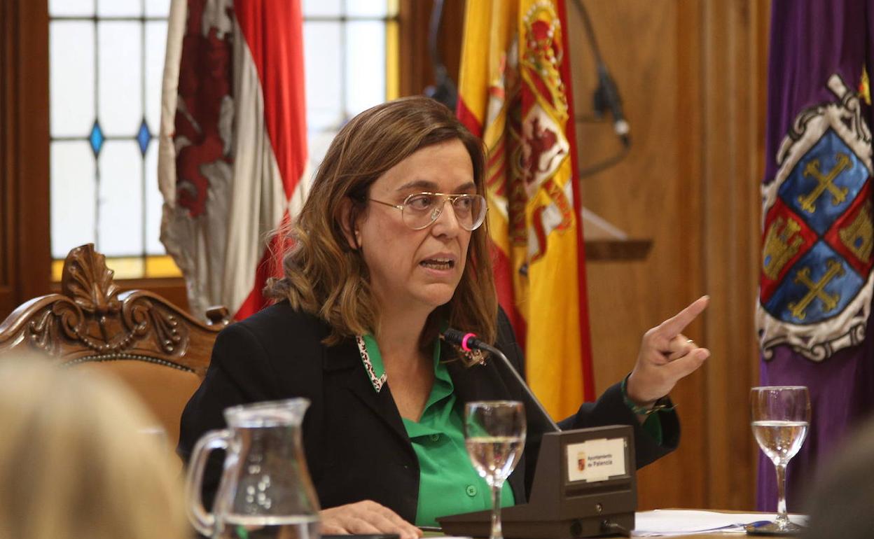 Ángeles Armisén, en un pleno de la Diputación. 