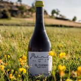Vino de El Cotarro