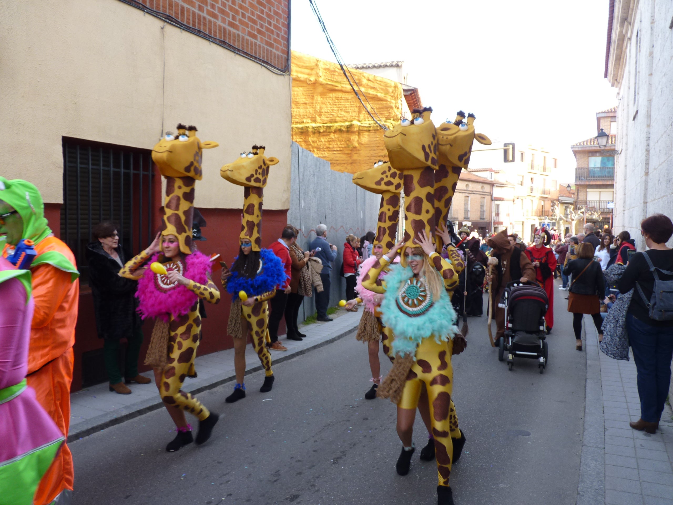 Fotos: ¿Quieres verte en las fotos del Carnaval de Tudela? ¡Pincha aquí!