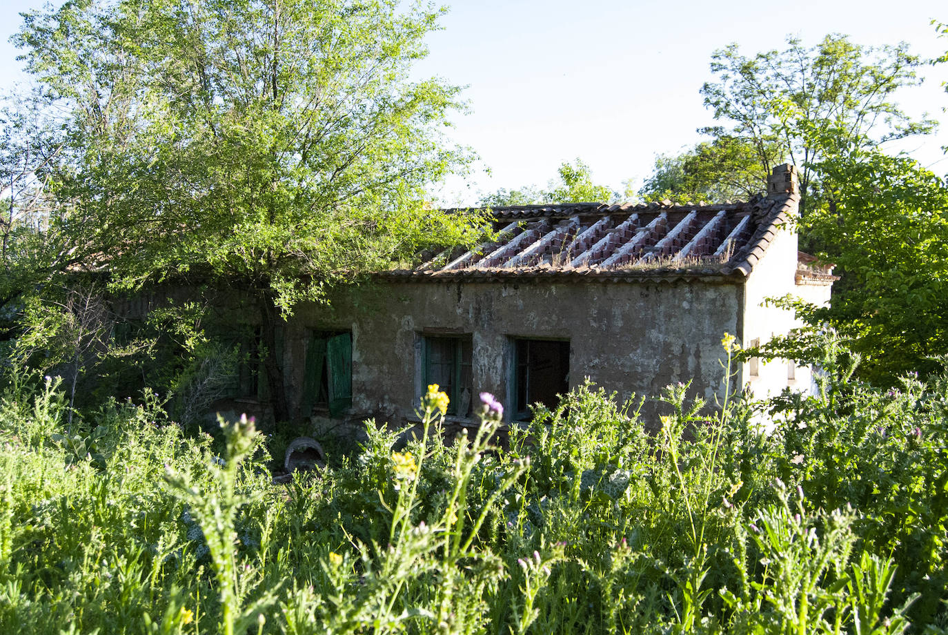 Grupo de viviendas San Alberto El Magno, inaugurado en 1951 y abandonado hoy a la espera de su urbanización.