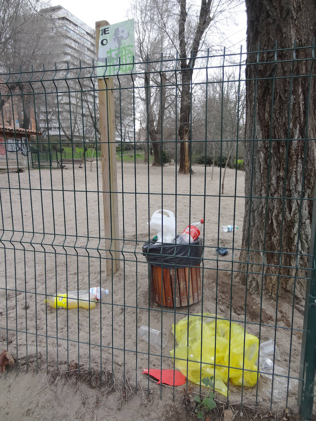 Restos del botellón de carnaval realizado por los jóvenes de la ciudad en el entorno de Las Moreras y La Rosaleda han dejado numerosos desperfectos y además, grandes cantidades de basura