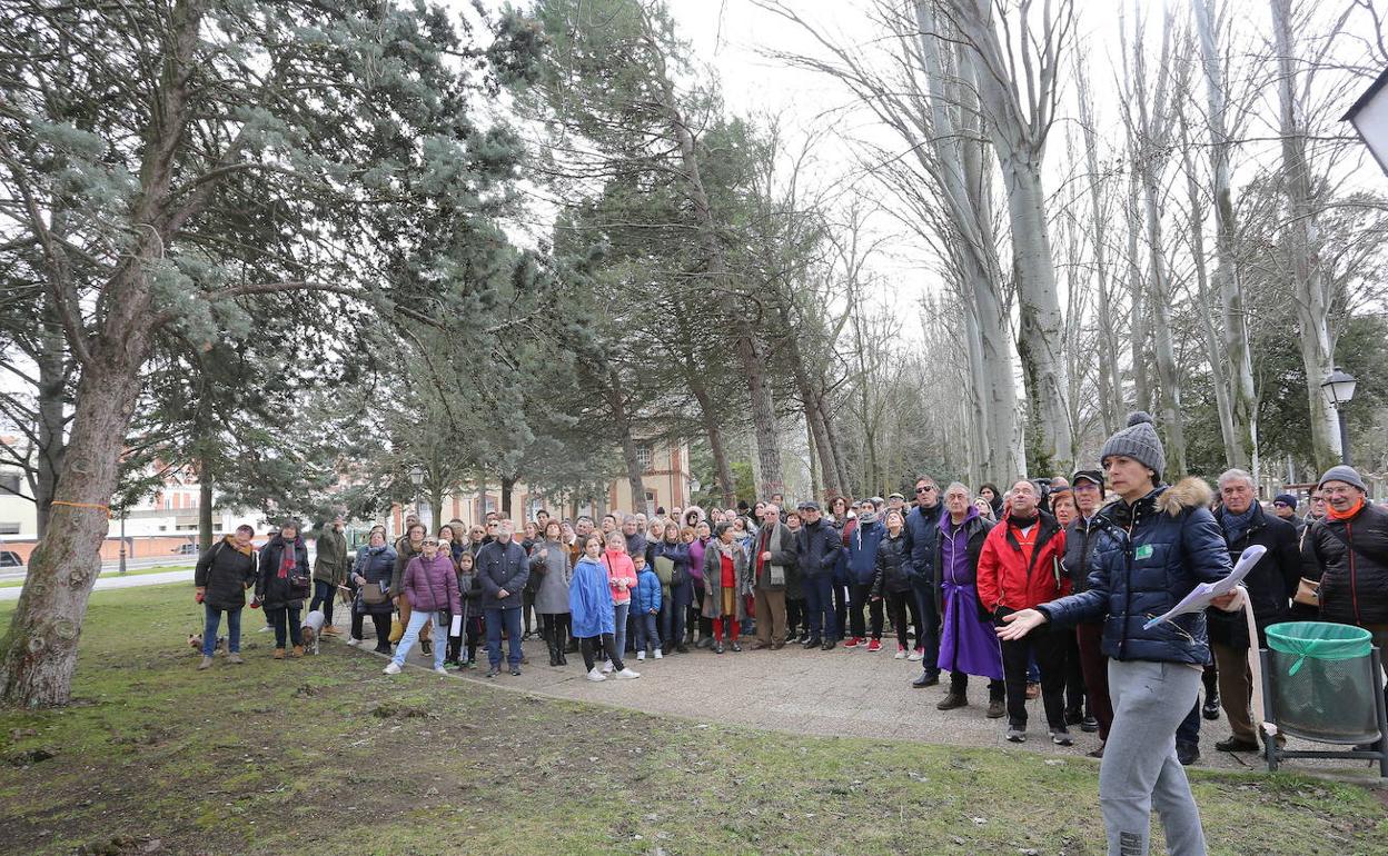 La abogada Rosa Alonso, hace una visita guiada a los árboles que el ayuntamiento de Palencia pretende talar para la remodelación del parque de los Jardinillos. 