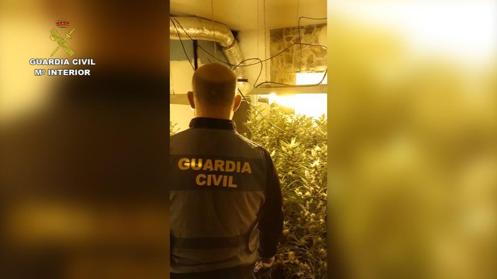 La Guardia Civil desmantela una organización criminal dedicada al tráfico de marihuana y cocaína desde Asturias hacia León. En total han sido detenidas 5 personas, habiéndose realizado un total de 4 registros domiciliarios.