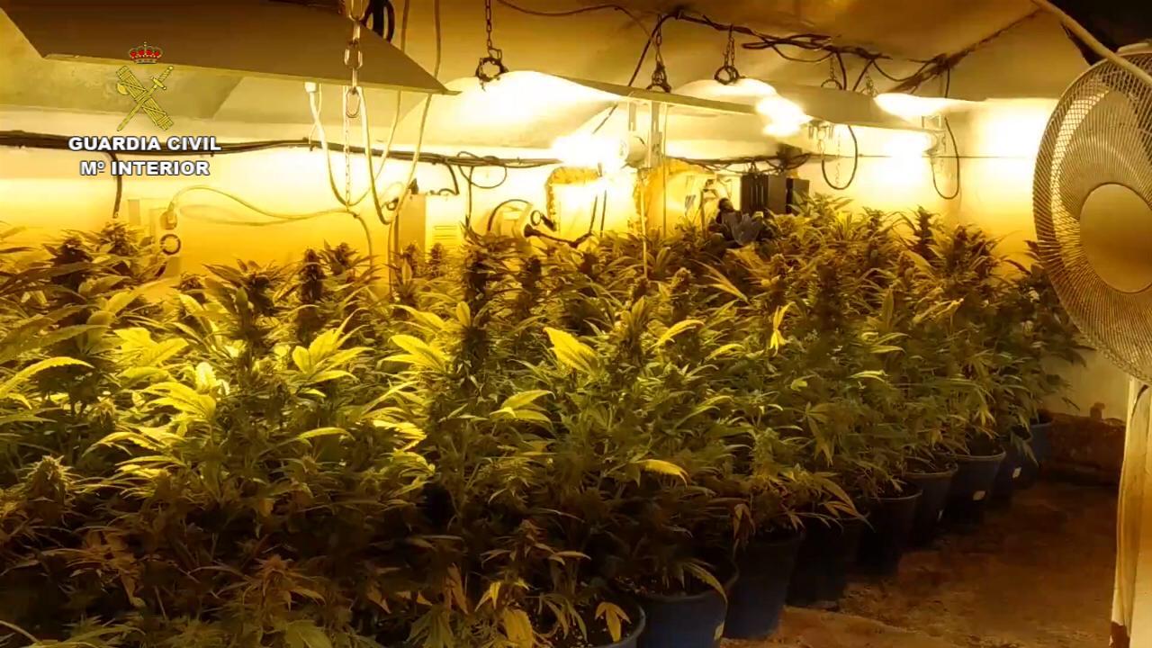 La Guardia Civil desmantela una organización criminal dedicada al tráfico de marihuana y cocaína desde Asturias hacia León. En total han sido detenidas 5 personas, habiéndose realizado un total de 4 registros domiciliarios.