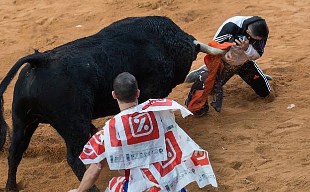 Un joven trata de fijar la atención del animal sin éxito. 