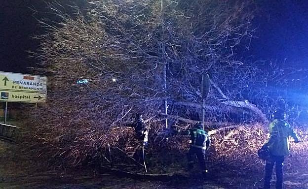 Imagen principal - Consecuencias del vendaval en la provincia de Valladolid. 