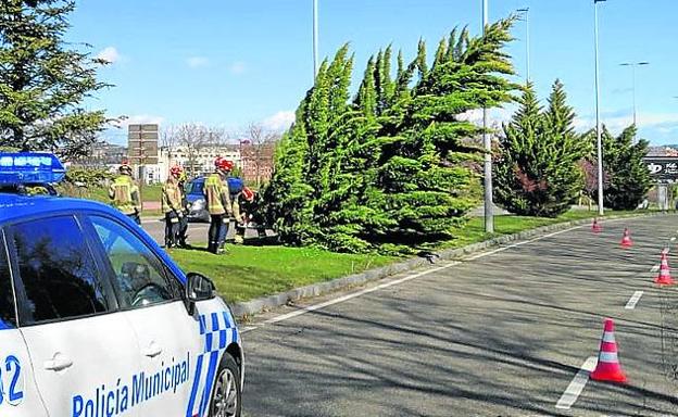 Imagen principal - La primera foto, un árbol caído en la mediana de la avenida del Real Valladolid; en la segunda, los Bomberos retiran una chapa de grandes dimensiones del Aldi de la carretera de Villalbáñez. 