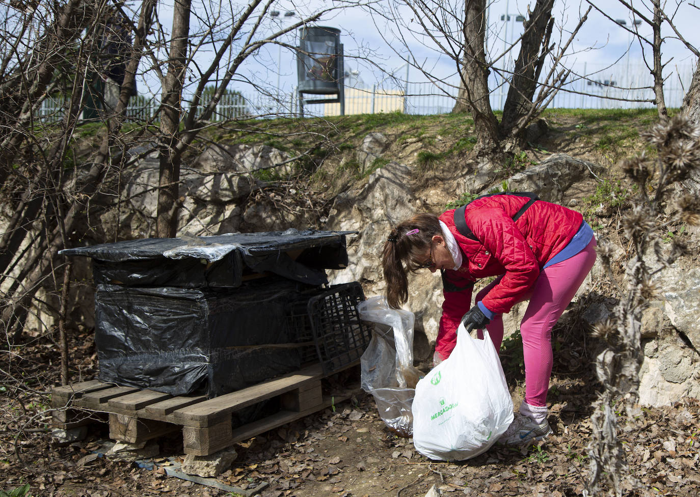 Cincuenta voluntarios se han unido este sábado a la asociación Amigos del Pisuerga para limpiar las riberas del río.