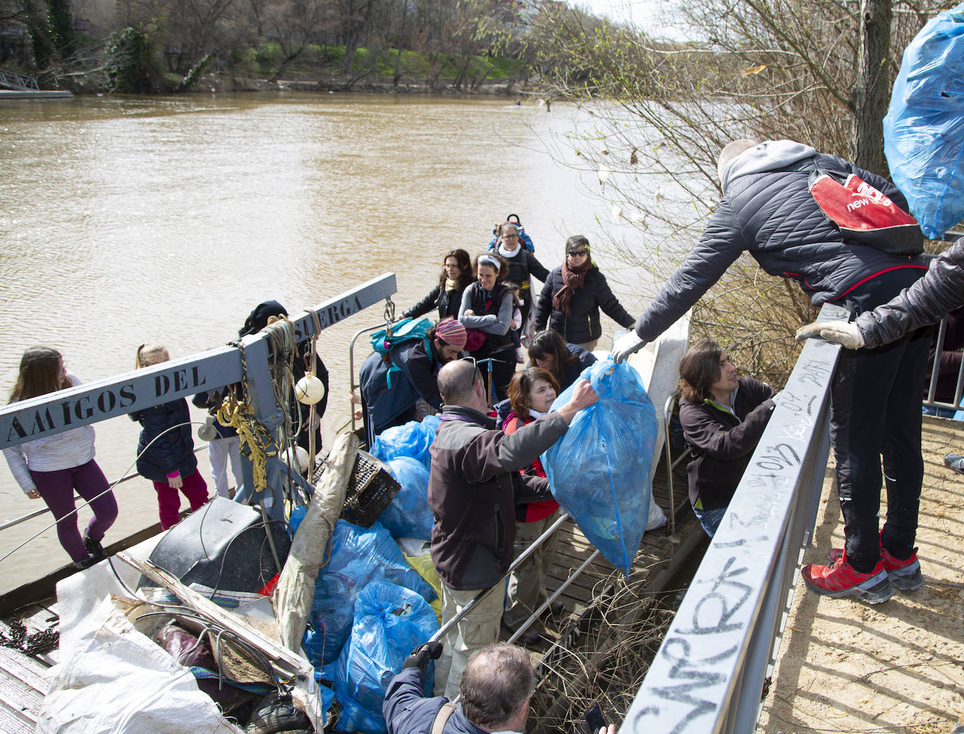Cincuenta voluntarios se han unido este sábado a la asociación Amigos del Pisuerga para limpiar las riberas del río.