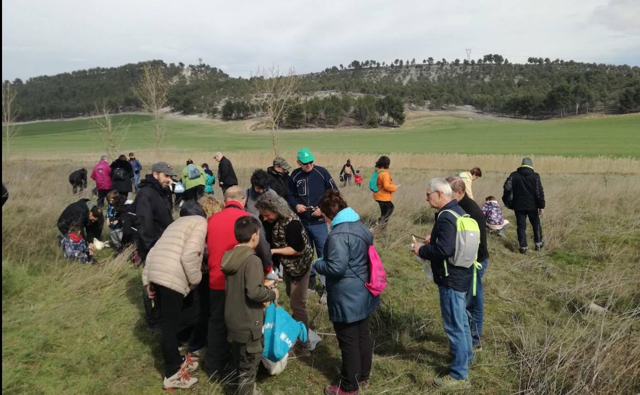 Los vecinos de Mucientes y pueblos limítrofes, en plena plantación.