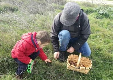 Imagen secundaria 1 - Mucientes planta 4.000 bellotas contra la desertificación
