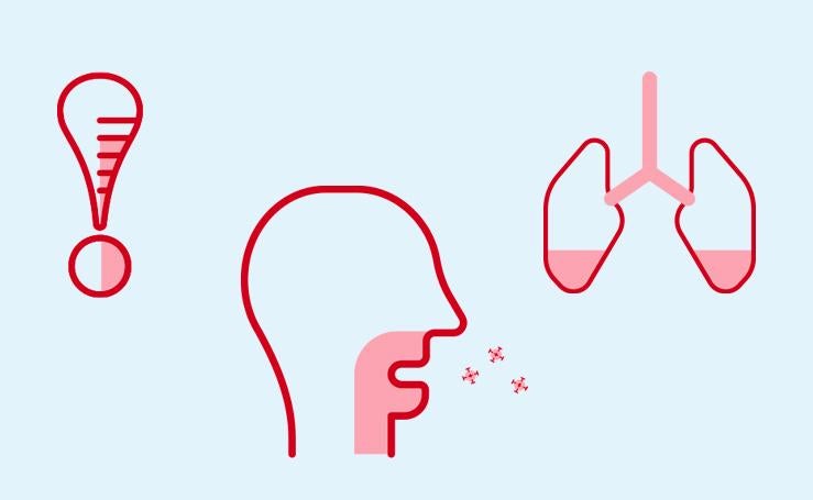 ¿Cómo evitar el contagio?