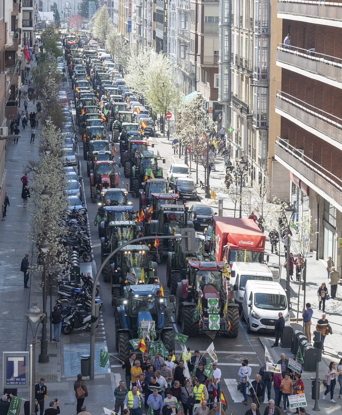 Las organizaciones agrarias UCCL, Asaja y COAG lograron concitar un millar de tractores y un millar de personas, de acuerdo a fuentes policiales, a su paso entre bocinazos por las calles de Valladolid, desde Colón hasta la Cúpula del Milenio, lo cual supuso un 'sorpasso' a sus previsiones (entre 200 y 400) y un «éxito absoluto» para que la sociedad visibilizara, y sobre todo oyera, el problema que tiene el campo.