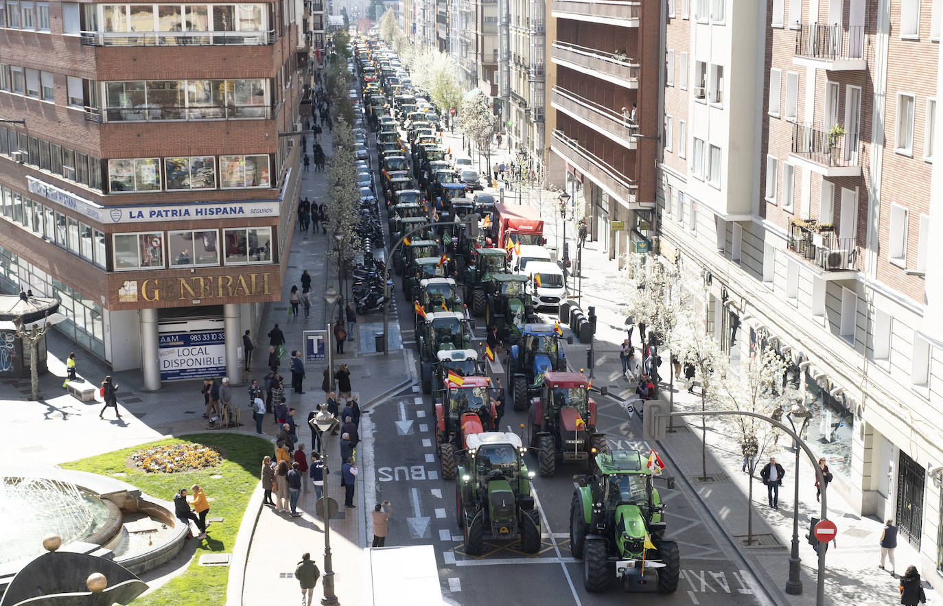 Las organizaciones agrarias UCCL, Asaja y COAG lograron concitar un millar de tractores y un millar de personas, de acuerdo a fuentes policiales, a su paso entre bocinazos por las calles de Valladolid, desde Colón hasta la Cúpula del Milenio, lo cual supuso un 'sorpasso' a sus previsiones (entre 200 y 400) y un «éxito absoluto» para que la sociedad visibilizara, y sobre todo oyera, el problema que tiene el campo.