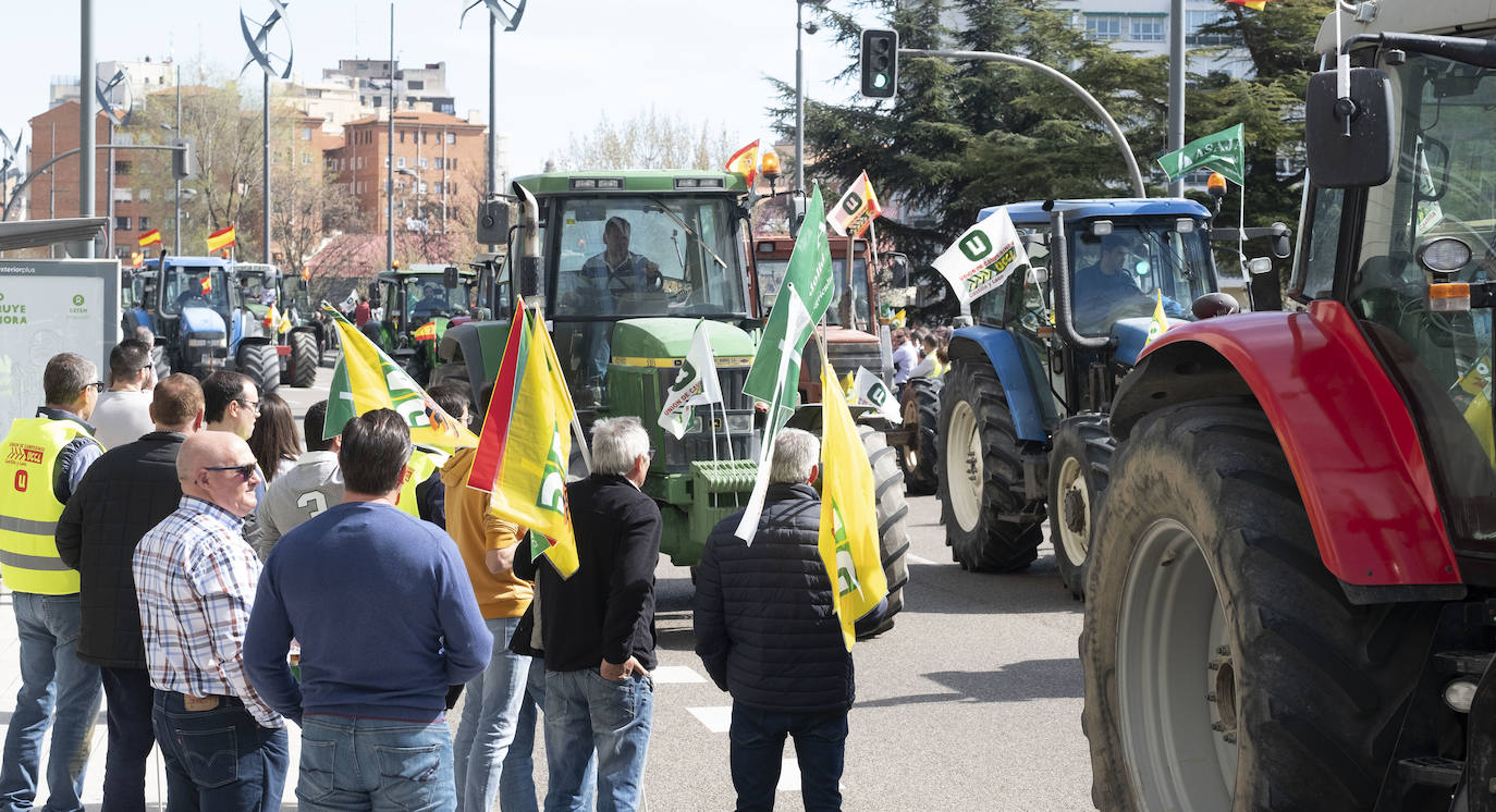 Las organizaciones agrarias UCCL, Asaja y COAG lograron concitar un millar de tractores y un millar de personas, de acuerdo a fuentes policiales, a su paso entre bocinazos por las calles de Valladolid, desde Colón hasta la Cúpula del Milenio, lo cual supuso un 'sorpasso' a sus previsiones (entre 200 y 400) y un «éxito absoluto» para que la sociedad visibilizara, y sobre todo oyera, el problema que tiene el campo.