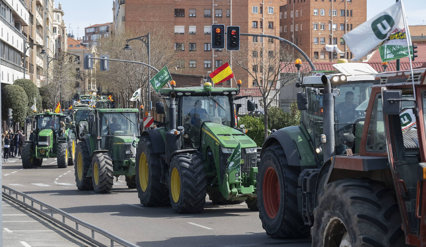 Las organizaciones agrarias UCCL, Asaja y COAG lograron concitar un millar de tractores y un millar de personas, de acuerdo a fuentes policiales, a su paso entre bocinazos por las calles de Valladolid, desde Colón hasta la Cúpula del Milenio, lo cual supuso un 'sorpasso' a sus previsiones (entre 200 y 400) y un «éxito absoluto» para que la sociedad visibilizara, y sobre todo oyera, el problema que tiene el campo.