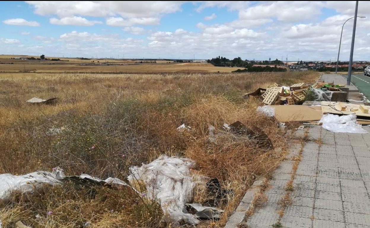 Imagen de una zona del polígono de Los Villares donde se aprecia el problema de la recogida de residuos.