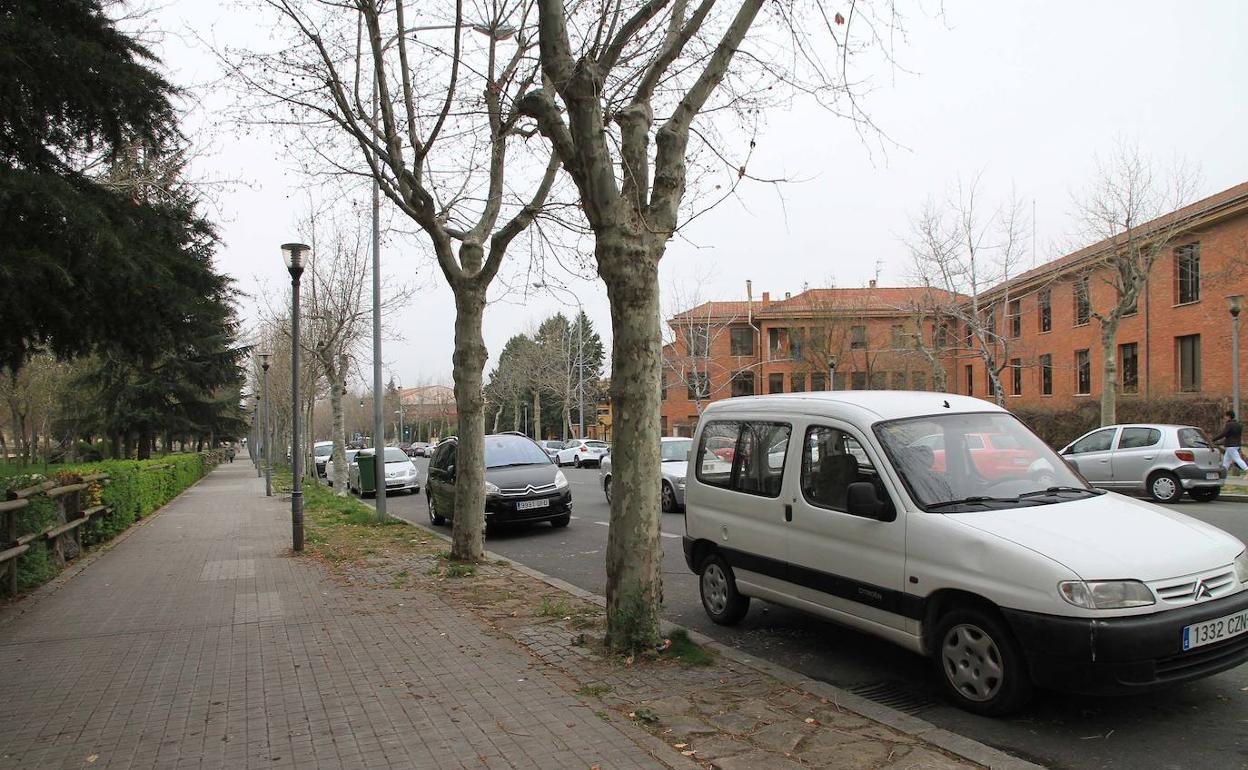 Vehículos aparcadosa en zona ORA. 