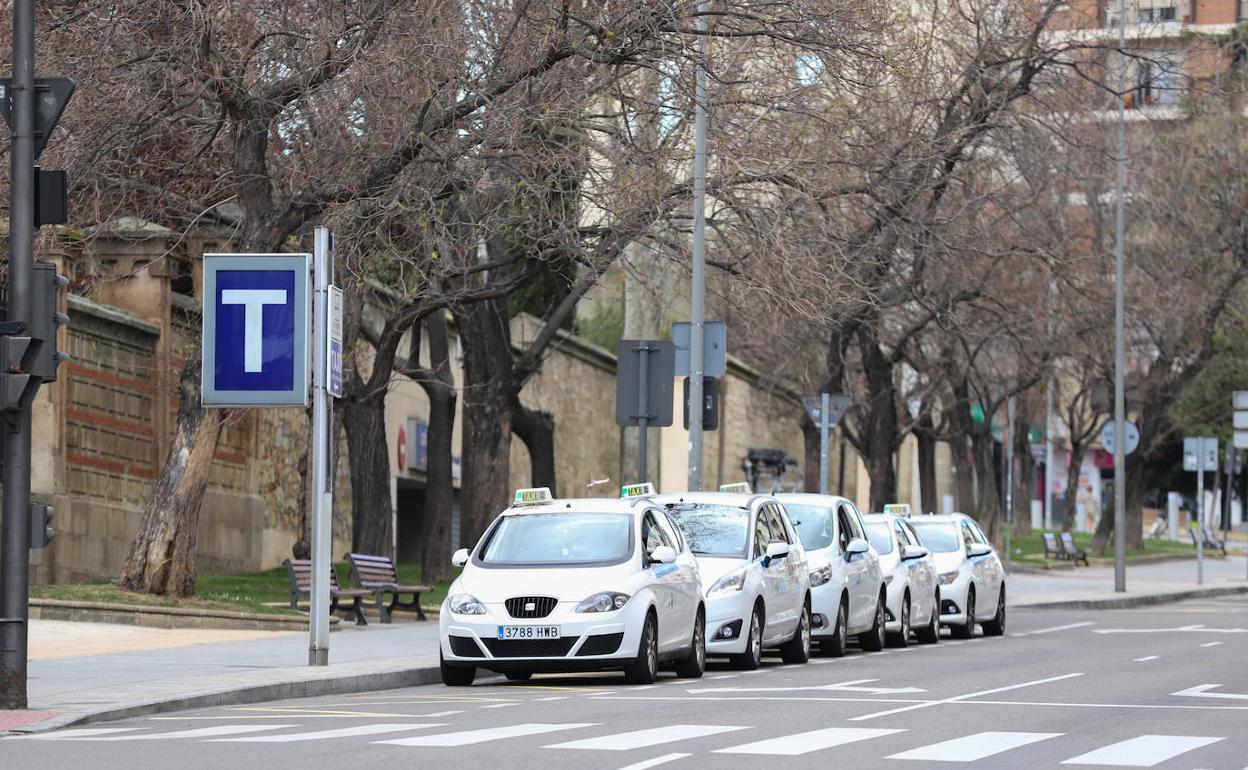 Varios taxis en una parada de la capital.
