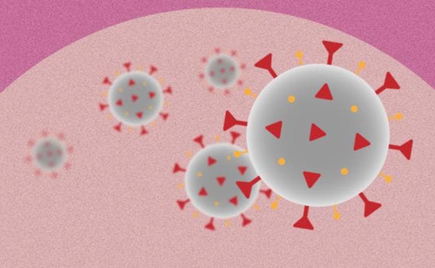 ¿Qué es y cómo actúa el coronavirus?