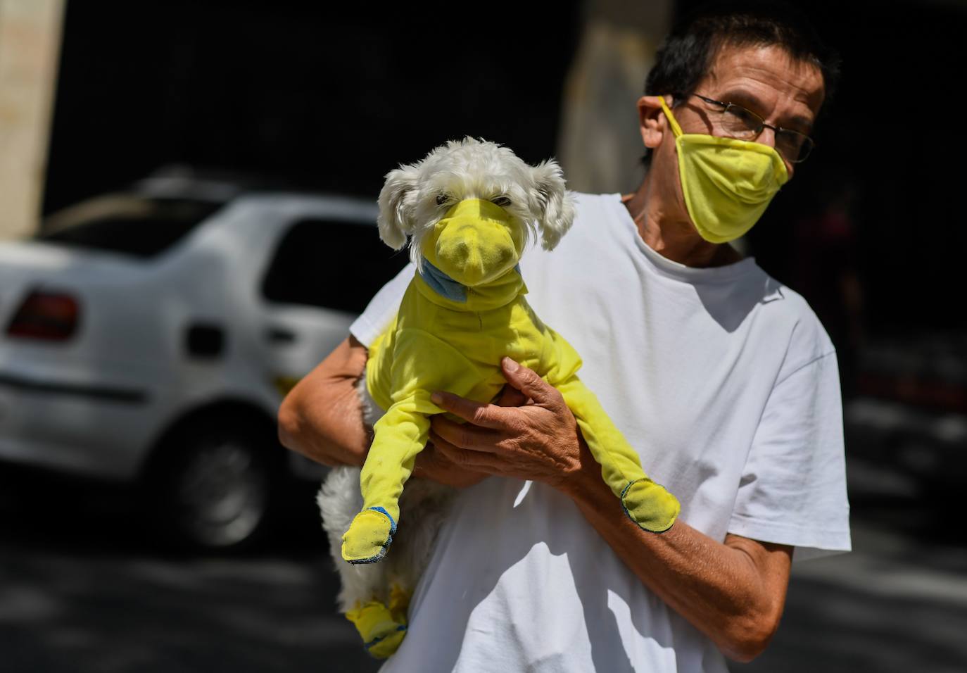 Fotos: Las imágenes más curiosas de animales durante la crisis del coronavirus