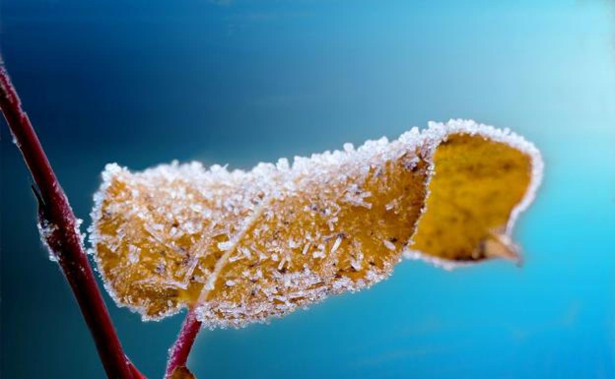 El Puerto de San Isidro marca la temperatura más fría de España con 8,3 grados bajo cero