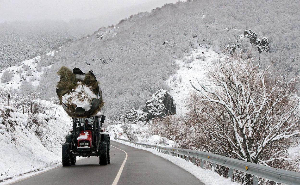 La nieve regresa a la montaña de León.