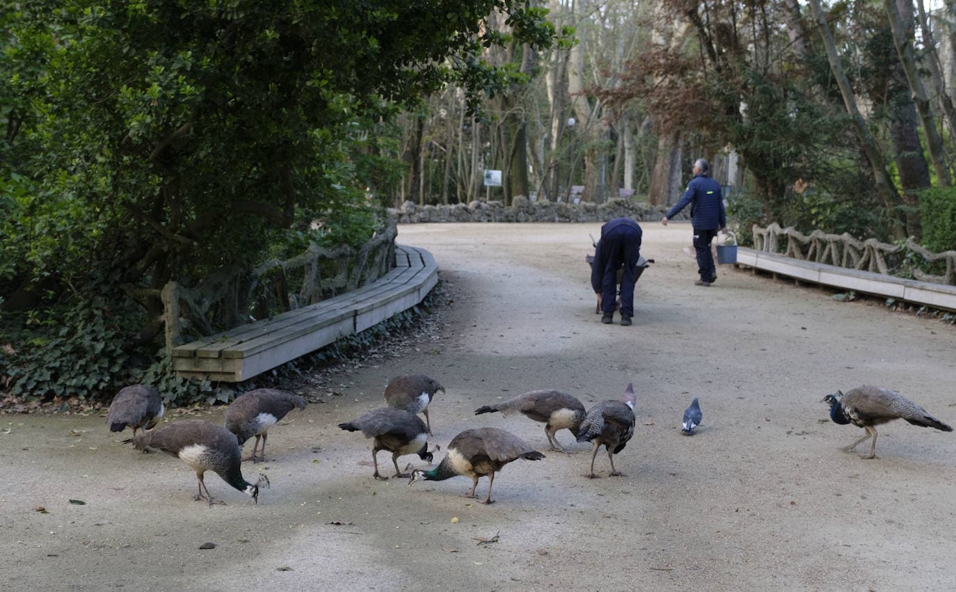 Fotos: Así da de comer Luis Magdaleno a los animales del Campo Grande