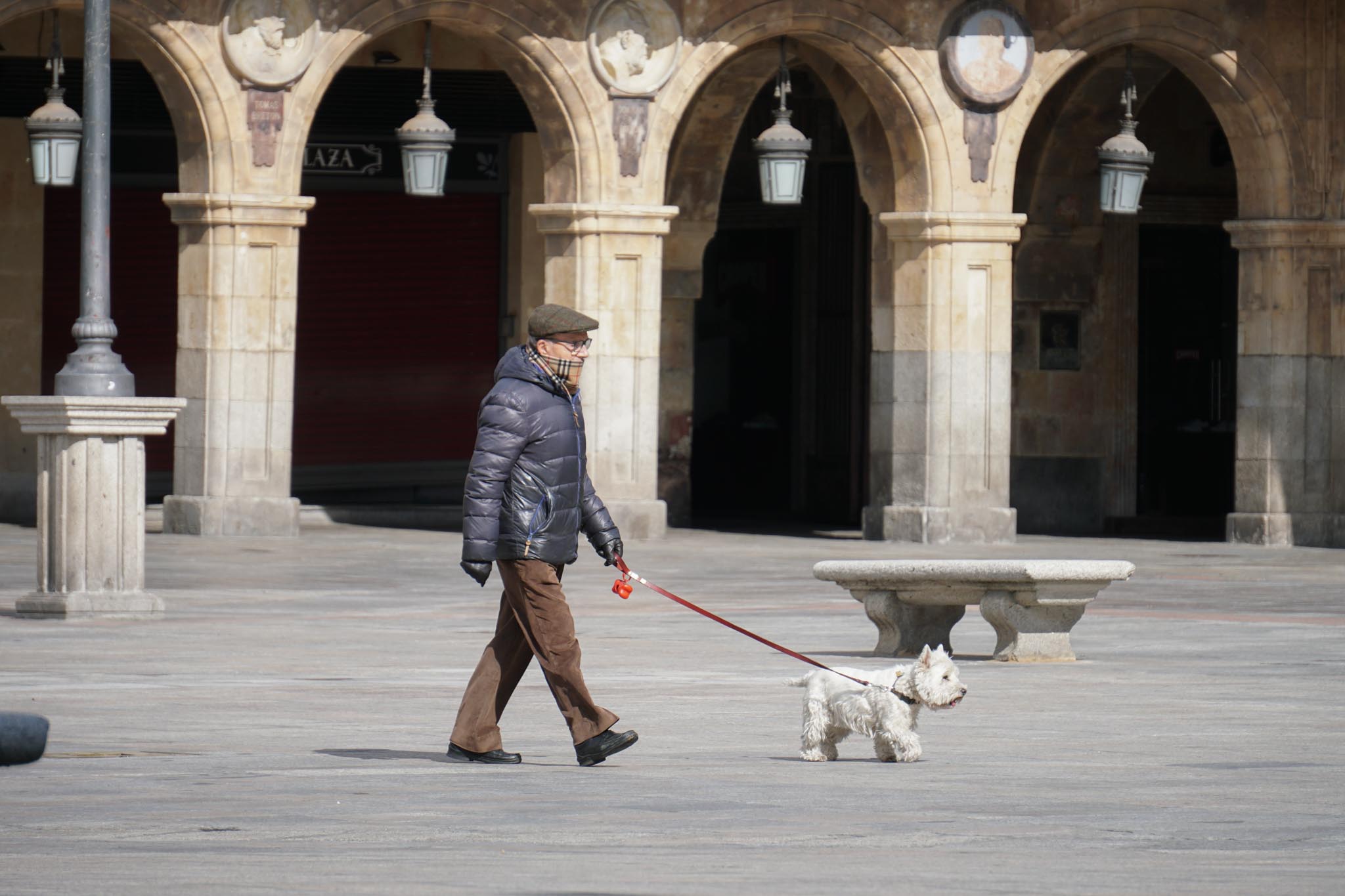 Fotos: El inicio de la actividad llena las calles de Salamanca