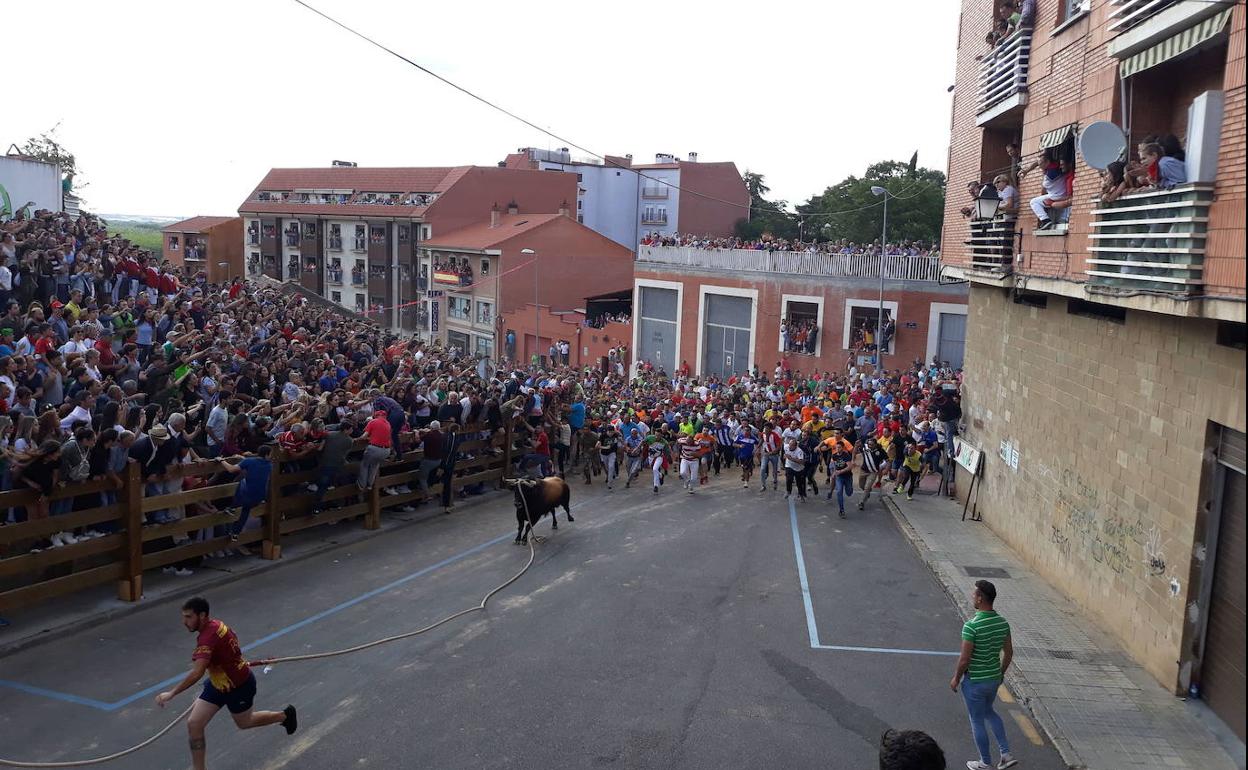 Toro Enmaromado de Benavente del año pasado.