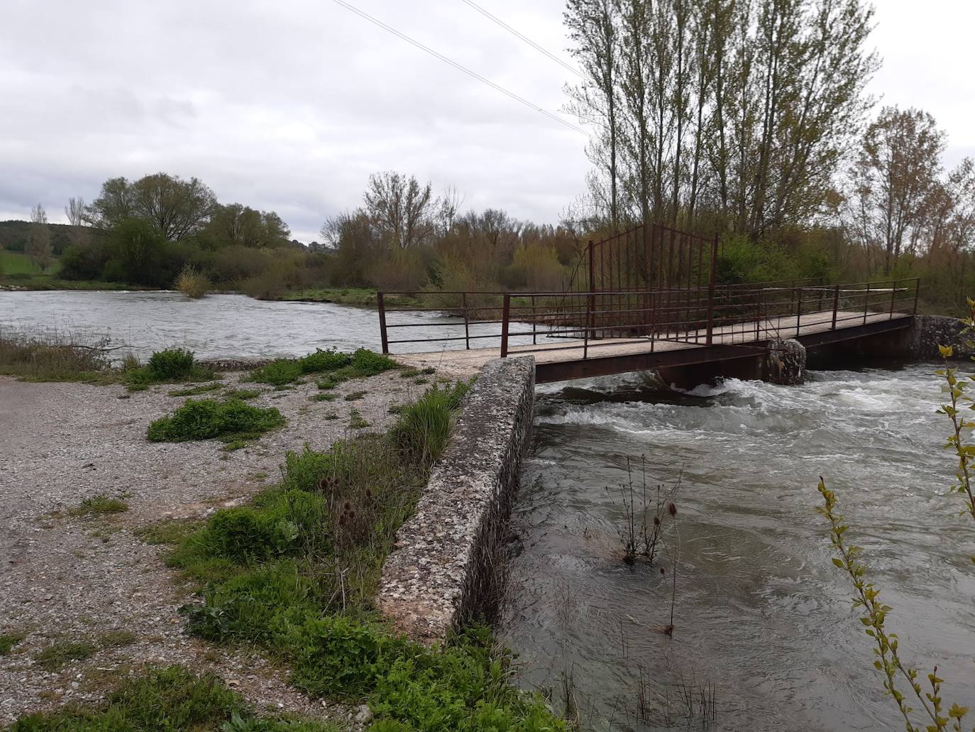 La suelta de agua del embalse de Aguilar ha hecho crecer considerablemente el río. 