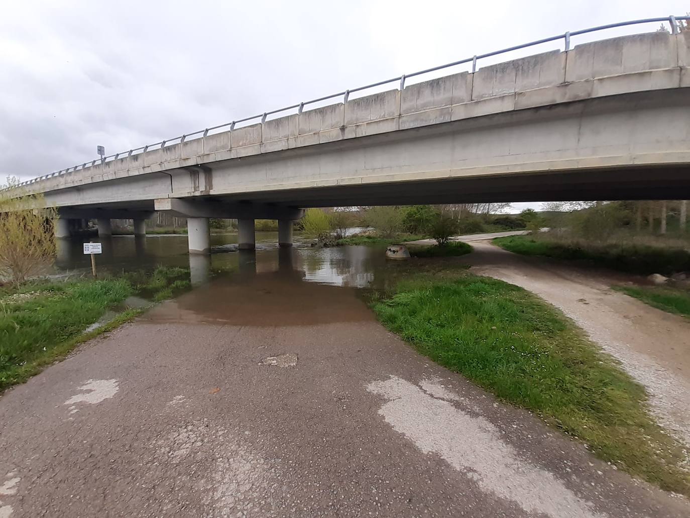 La suelta de agua del embalse de Aguilar ha hecho crecer considerablemente el río. 