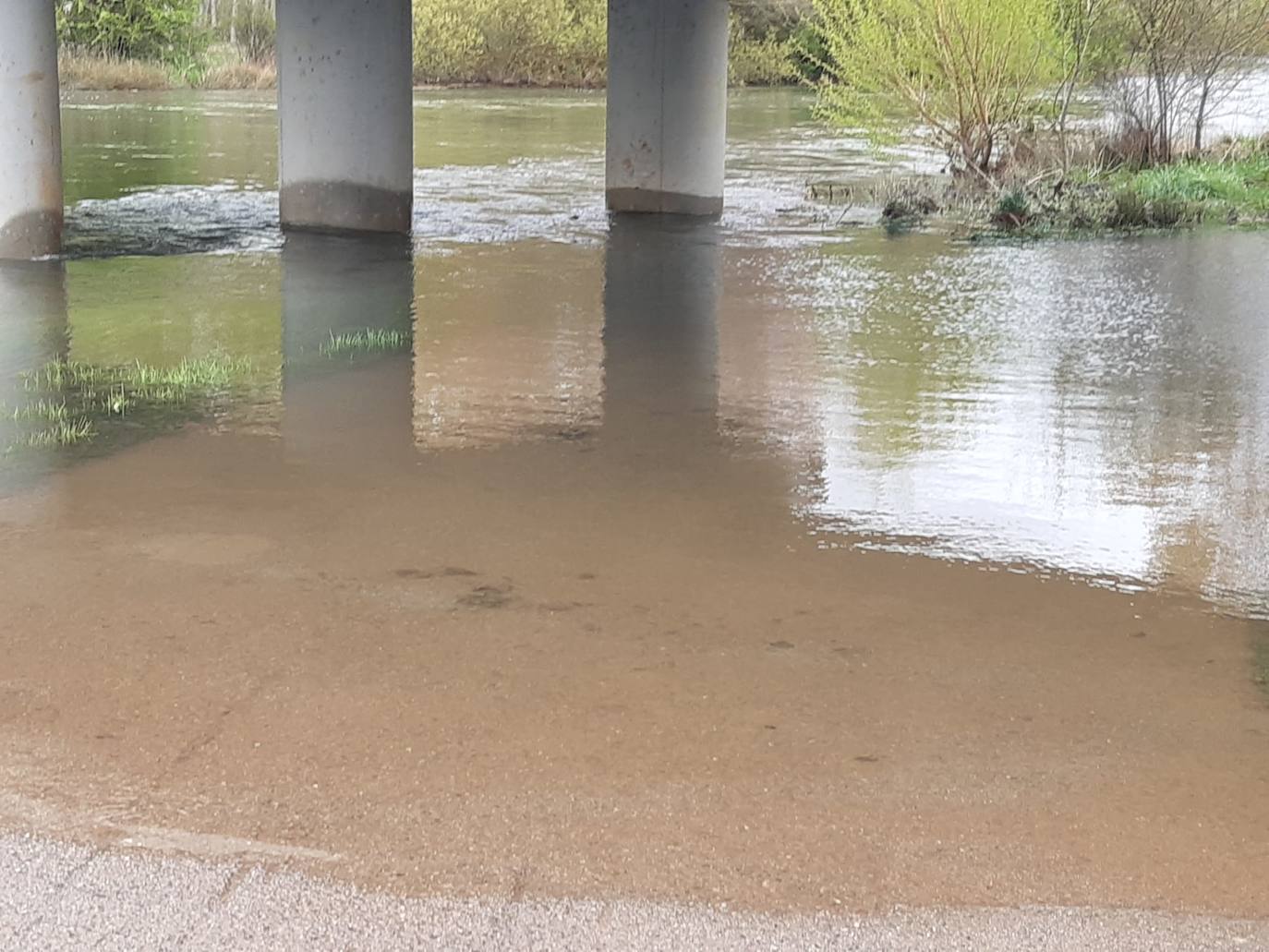 La suelta de agua del embalse de Aguilar ha hecho crecer considerablemente el río. 