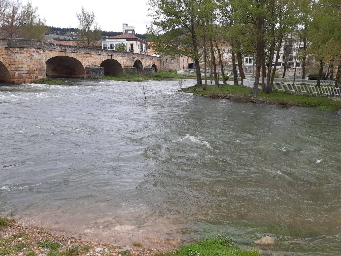 La suelta de agua del embalse de Aguilar ha hecho crecer considerablemente el río. 