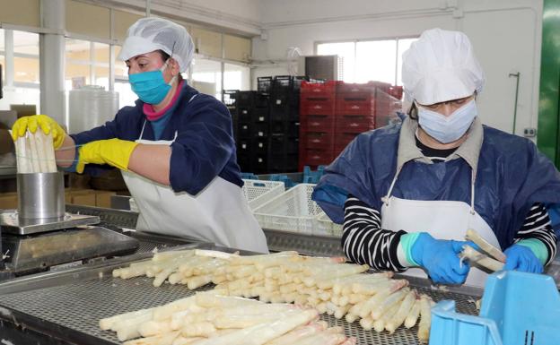 El espárrago se mantiene fiel a su cita en las mesas 