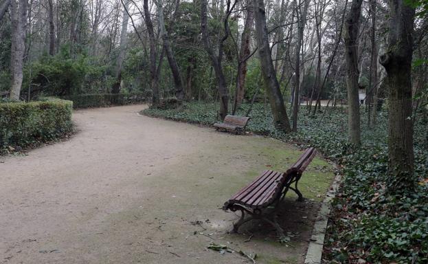 Valladolid reabre mañana el Campo Grande para la salida de menores de 14 años