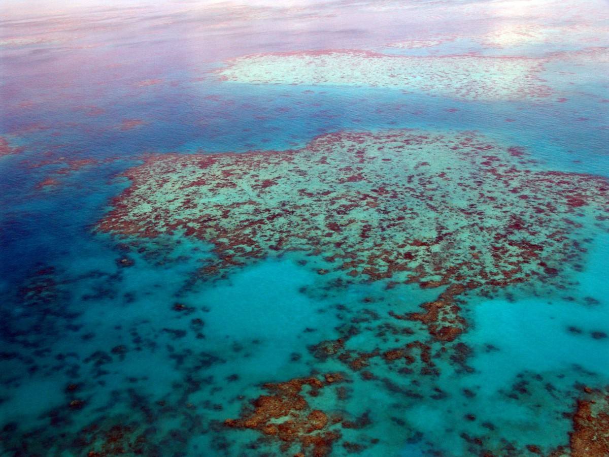 Mar de Coral (Australia)