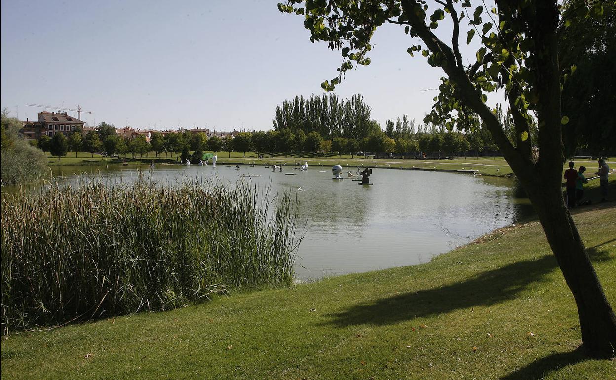 Inmediaciones del lago de Laguna de Duero, una de las zonas donde se intensificará la vigilancia. 