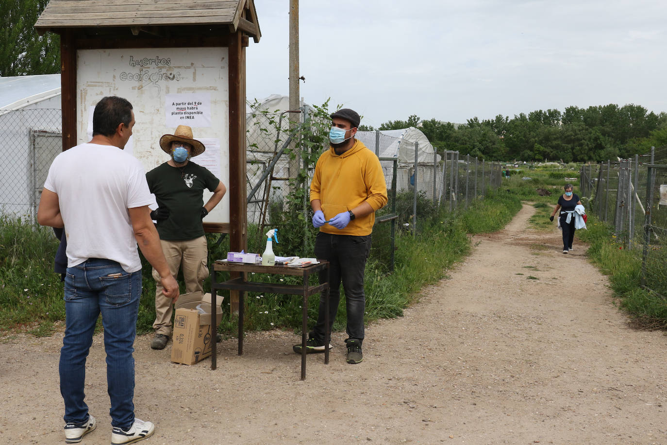 Fotos: Reabren los huertos ecológicos del INEA en Valladolid