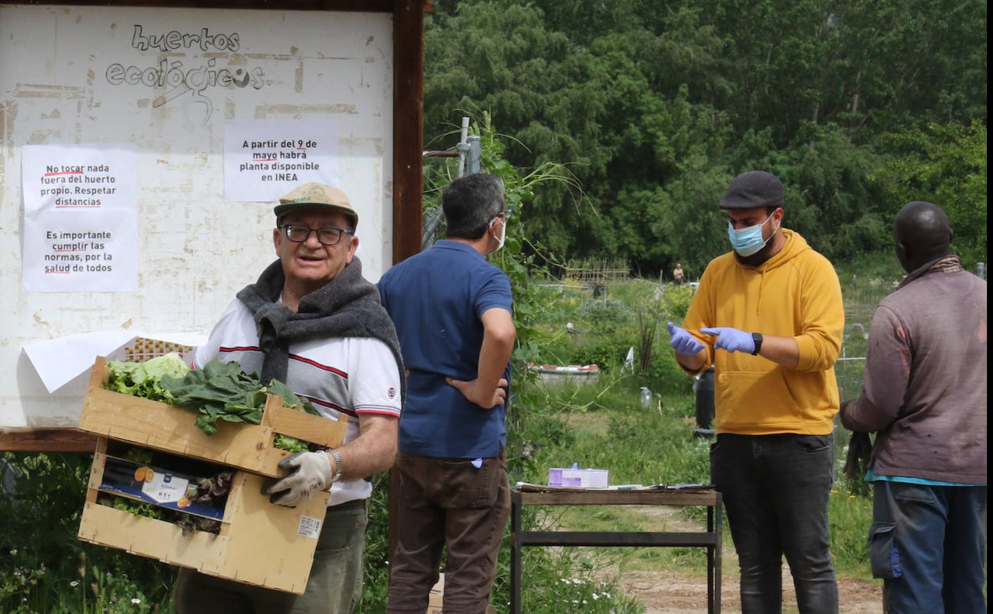 Un hombre se lleva a casa la cosecha de hortalizas que ha podido rescatar tras mas de mes y medio sin poder acudir al huerto mientras que detrás, los trabajadores del INEA organizan el trabajo y vigilan que se cumplan las medidas de prevención. 