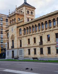 Imagen secundaria 2 - Un operario del Servicio de Limpieza retira al animal muerto. A la derecha, dos patos sobre la calzada. 