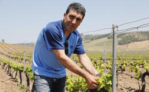 «Nadie desde las bodegas te asegura nada porque no hay ningún contrato»