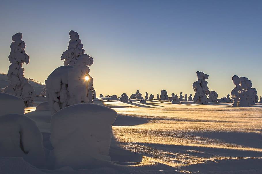 Laponia | Es conocido por ser el hogar de Papá Noel y también uno de los lugares más fríos del mundo. Las horas de luz son escasas hasta en verano y su paisaje está repleto de árboles y lagos helados.