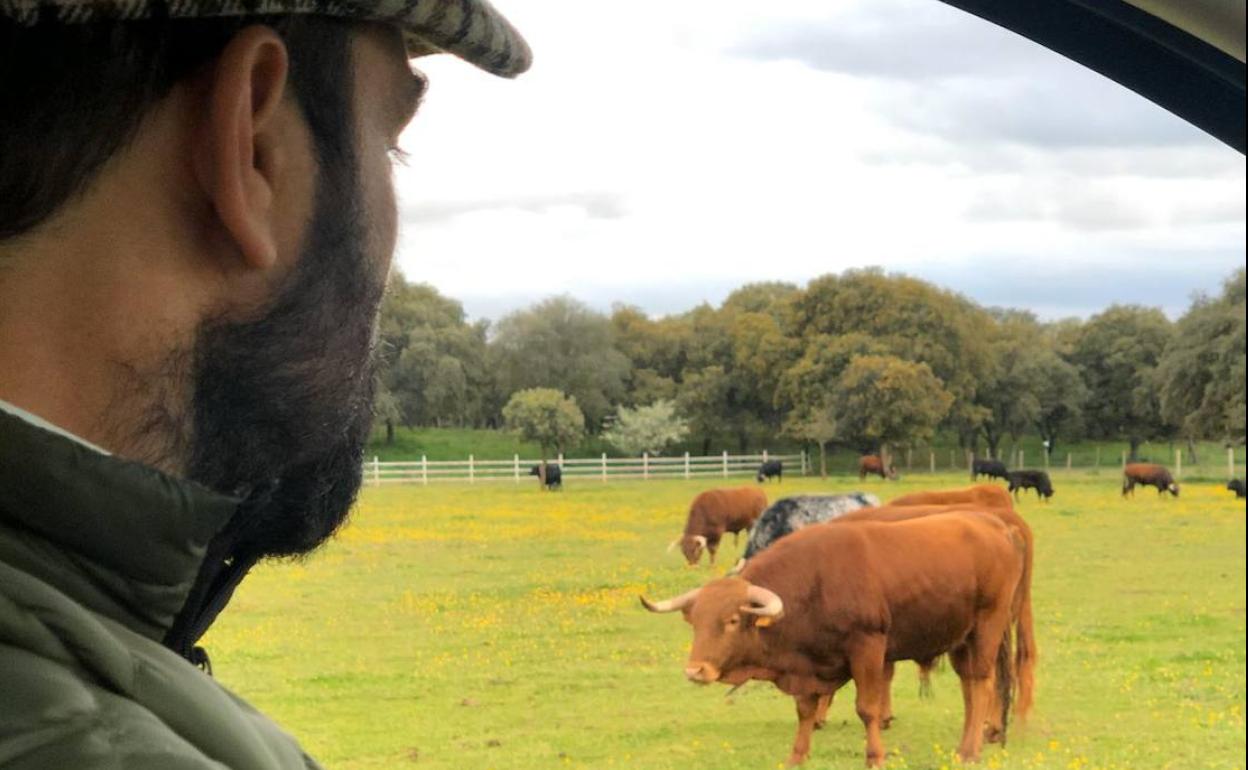 Alberto Revesado viendo a sus animales. 